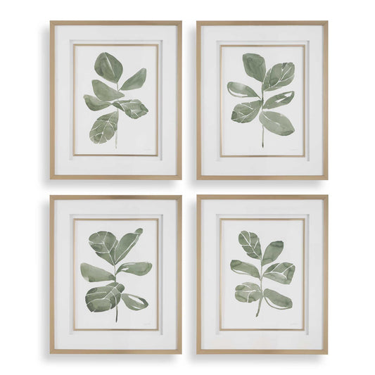 Fiddle Head - Leaf Botanical Prints (Set of 4) - Gold / Green / White