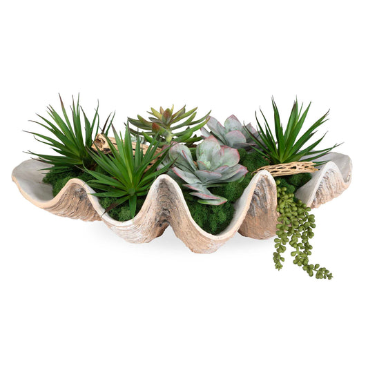 Seaside Breeze - Succulents - Light Brown