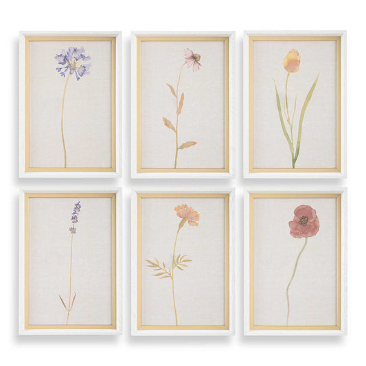 Wild Flourish - Framed Floral Prints (Set of 6) - Light Brown