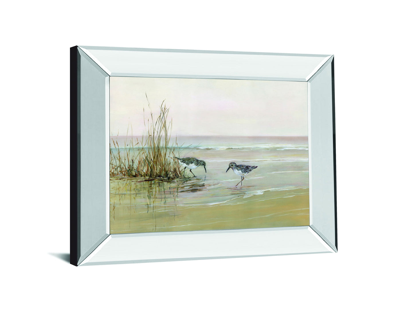 Early Risers I By Sally Swatland - Mirror Framed Print Wall Art - Beige