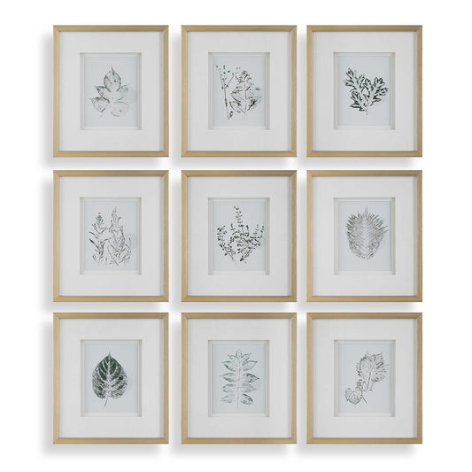 Nature's - Script Framed Botanical Prints (Set of 9) - Gold / Green / White