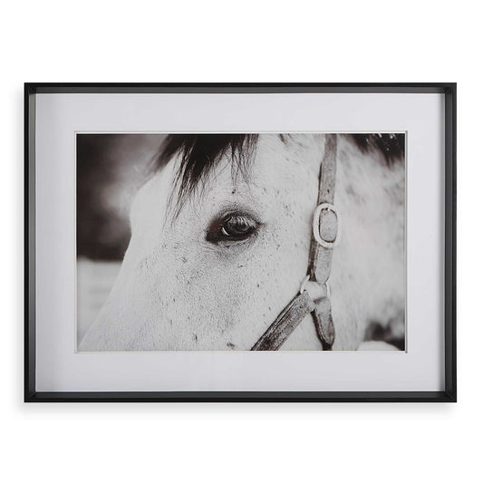 Eye Of The Beholder - Framed Print - White