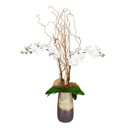 Earthbound Orchid - With Vase - Dark Brown