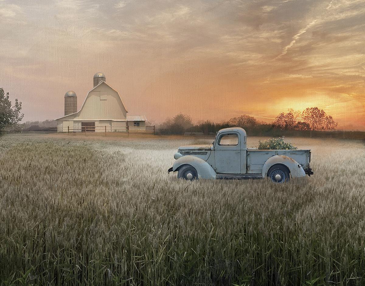 Evening Farm By Nan (Framed) - Light Brown