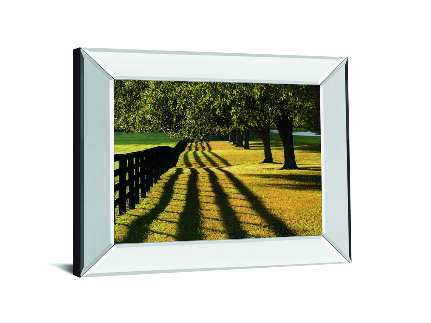 Chasing Shadows By Mike Jones Mirror Framed Print Wall Art - Green