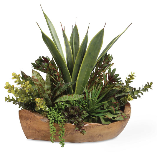 Salar - Succulents In Teak Bowl - Light Brown