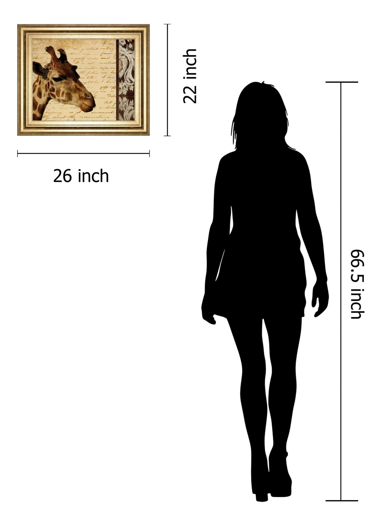 Madagascar Safari I By Patricia Pinto - Framed Print Wall Art - Beige