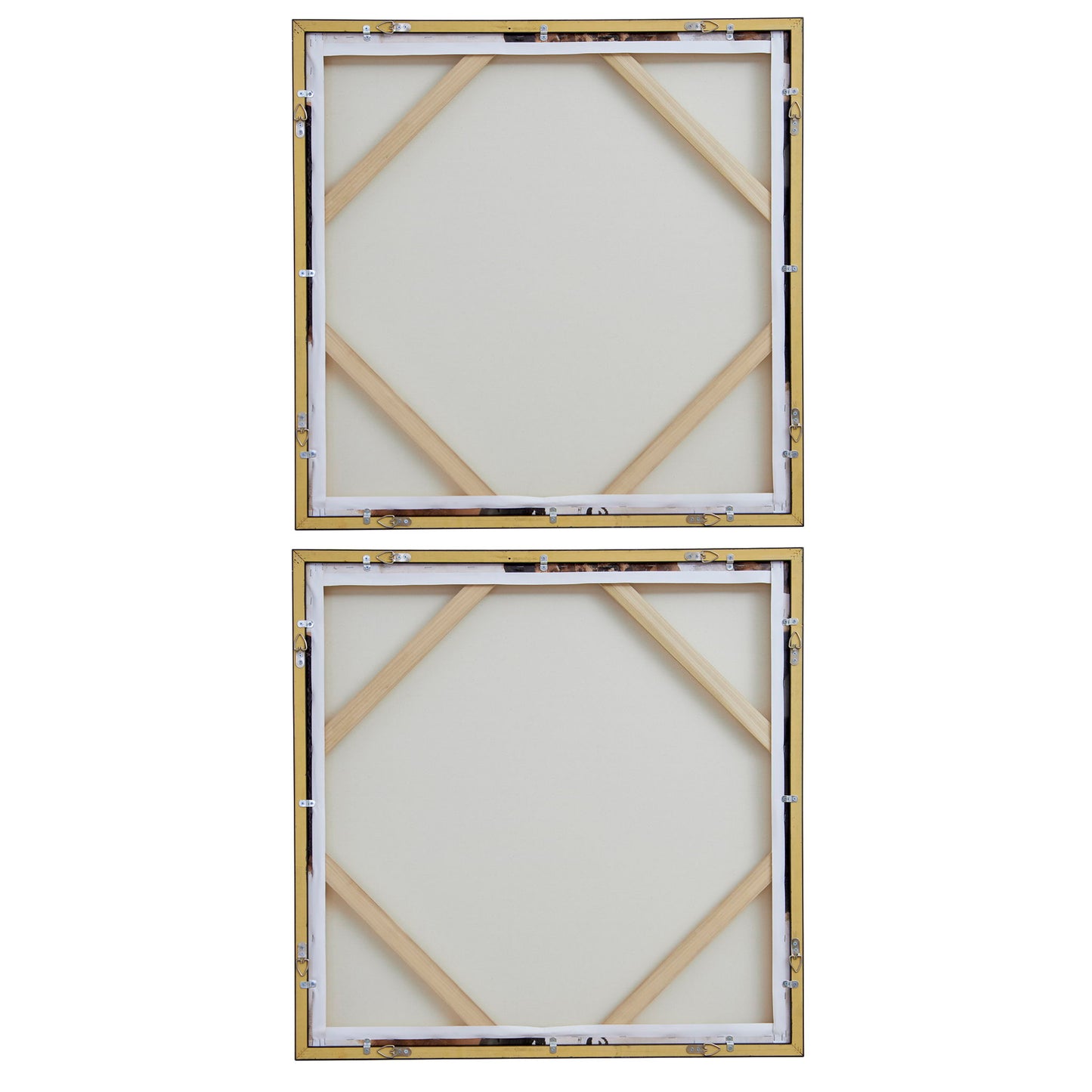 Tactile Inspiration - Framed Abstract Art (Set of 2)