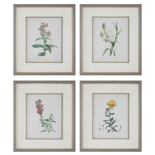 Heirloom Blooms - Study Framed Prints (Set of 4) - Green