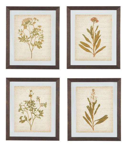 Dyani - Wall Art Set (Set of 4) - Brown