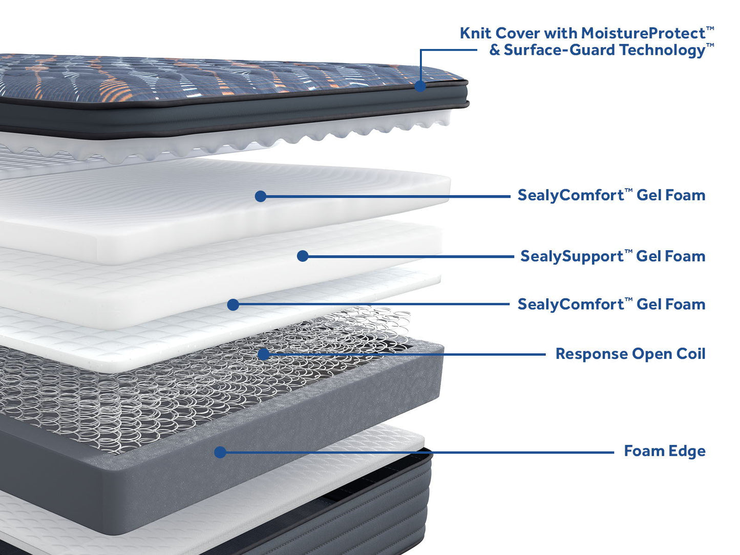 Special Edition - Warner Euro Pillow Top Soft