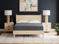13 Inch Hybrid Hot Buy - Mattress