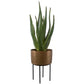 Arabia - Aloe Planter - Brown