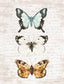 Small - Butterfly Trio By Lettered & Lined - Pearl Silver