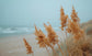 Blowing In The Wind - Light Blue