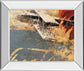 Wheels And Wings By Aliaga, C. - Mirror Framed Print Wall Art - Dark Gray