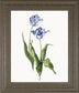 22x26 Lively Botanical II By Sally Swatland - White
