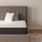Limited Edition Firm - Mattress