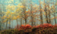 Small - Beeches In The Mist By Lars Van De Goor - Light Blue