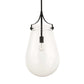 Dewdrop - 1 Light Glass Shade Pendant - Black