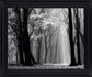 Silent Grove Shadows - 28" x 34" Framed Wall Art - Dark Gray