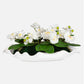 Opulence Orchid - Centerpiece With Bowl - White
