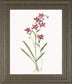 22x26 Delicate I By Sally Swatland - White