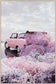 Blush Getaway Gloss Canvas In Frame - Pink / White