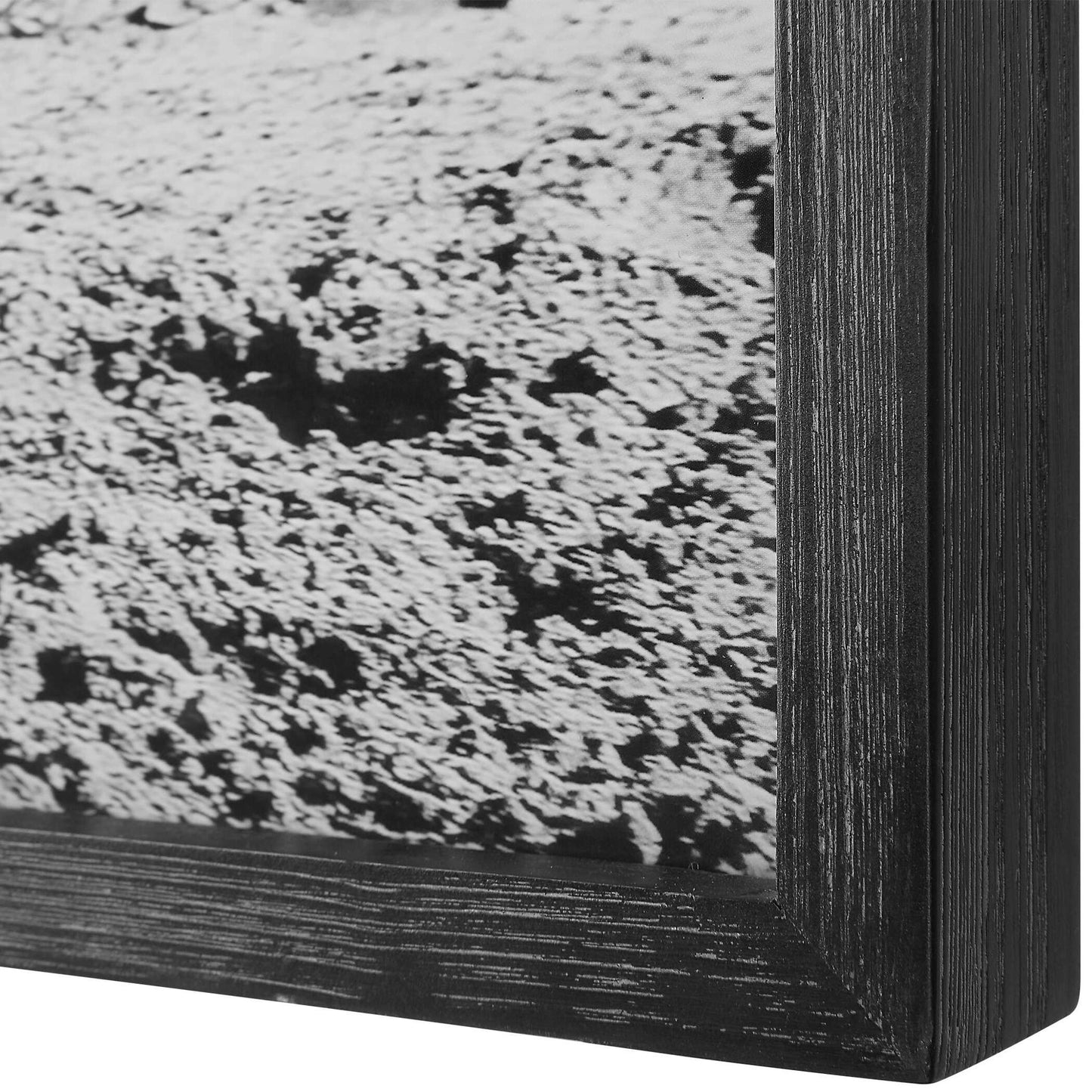 Galloping - Forward Equine Prints (Set of 3)