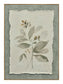Muted Herb Study - 20" x 28" Framed Wall Art - Green