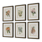 Orchid - Botanical Framed Prints (Set of 6) - Black / Blue / Gold / Green / Orange / Pink / Purple / Red
