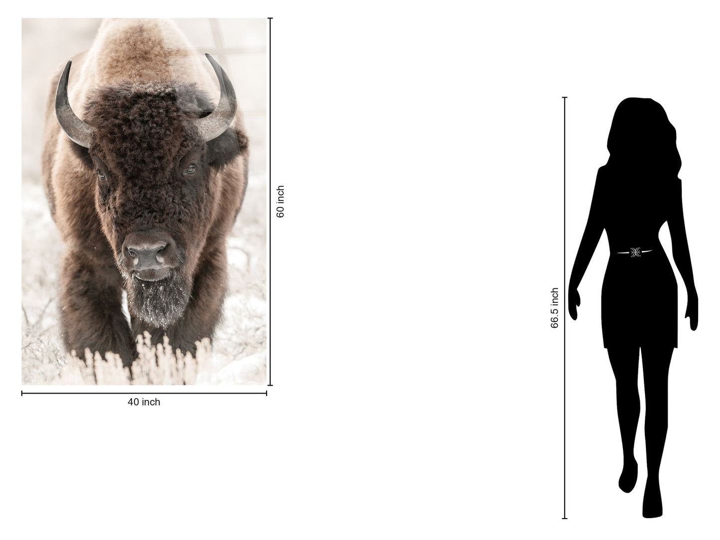 "Wild Majesty" Tempered Glass - Brown / White