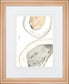 34x40 Ocean Oysters I By June Erica Vess - Gray