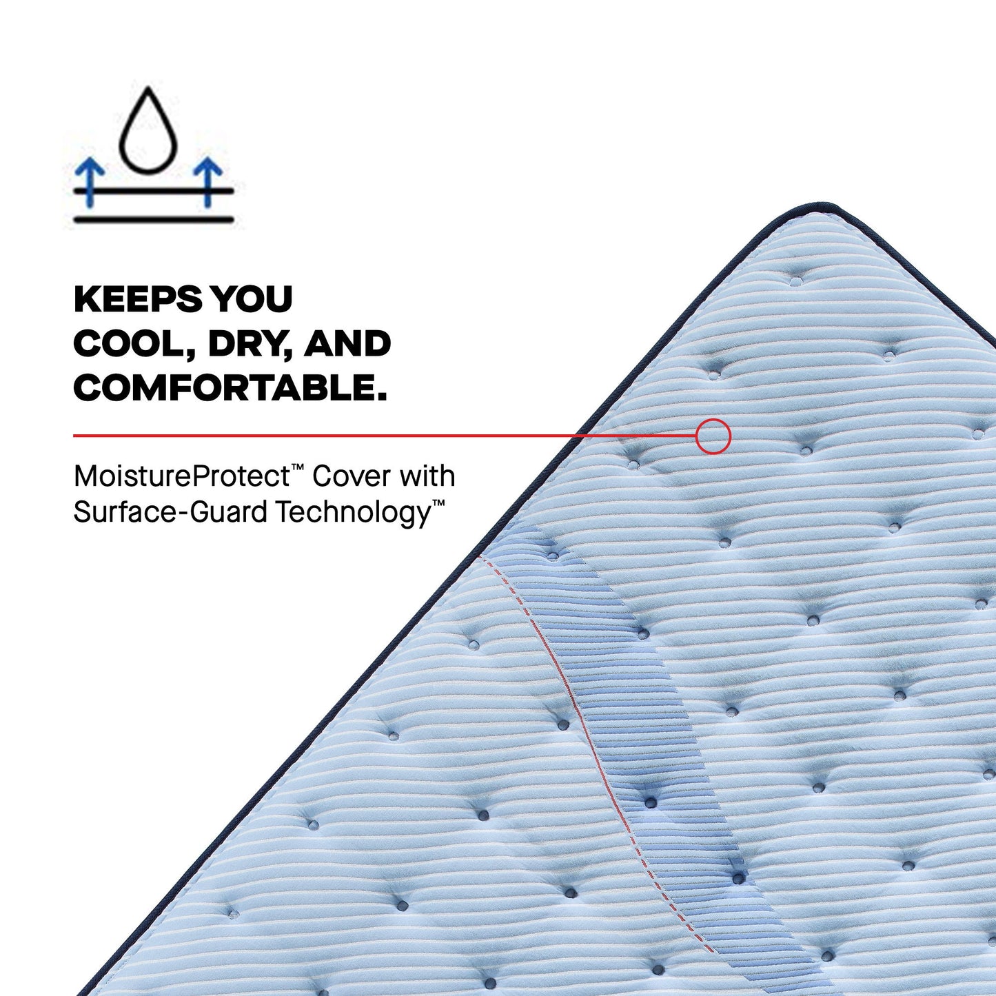 Posturepedic Plus - Keyport Euro Pillow Top Firm