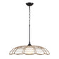 Lakeside - Indoor-Outdoor 1 Light Pendant - Black