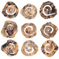 Corkscrew - Wood Wall Decor (Set of 9) - Light Brown