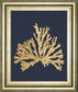 Pacific Sea Mosses IV Indigo By Wild Apple Portfolio - Framed Print Wall Art - Dark Gray