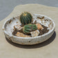 Quarried Stone - Indoor-Outdoor Bowl - Brown