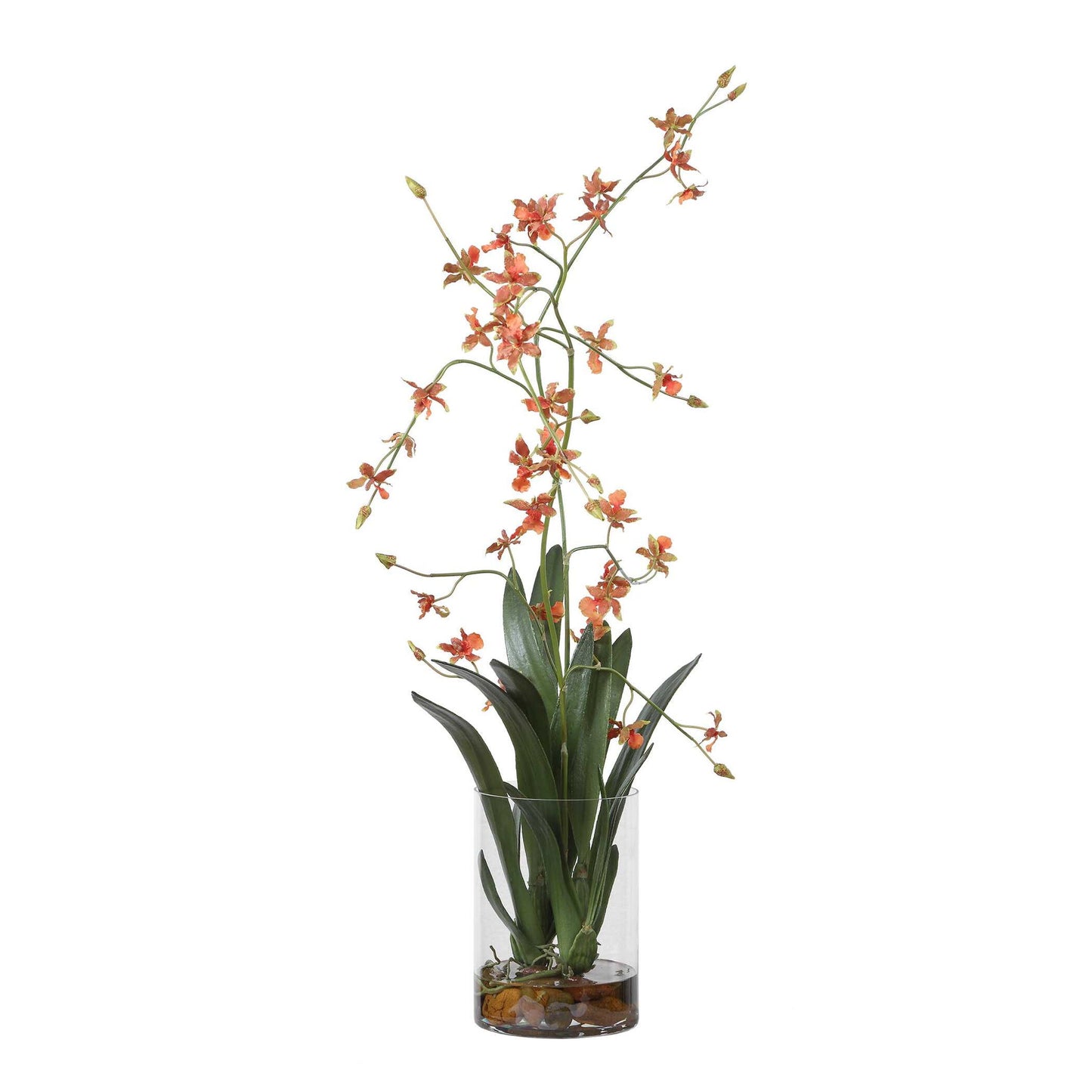 Dancing - Orchid In Glass Vase - Green,Orange