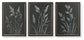 Janisburg - Wall Art Set (Set of 3) - Black / White / Brown