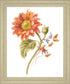 Sunlit Marigold - 28" x 34" Framed Wall Art - Orange