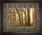 Woodland Sweep By Dennis Frate - Framed Print Wall Art - Light Brown