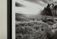 Delstone - Wall Art - Black / White