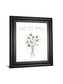 Farmhouse Cotton IV By Beth Grove - Framed Print Wall Art - White