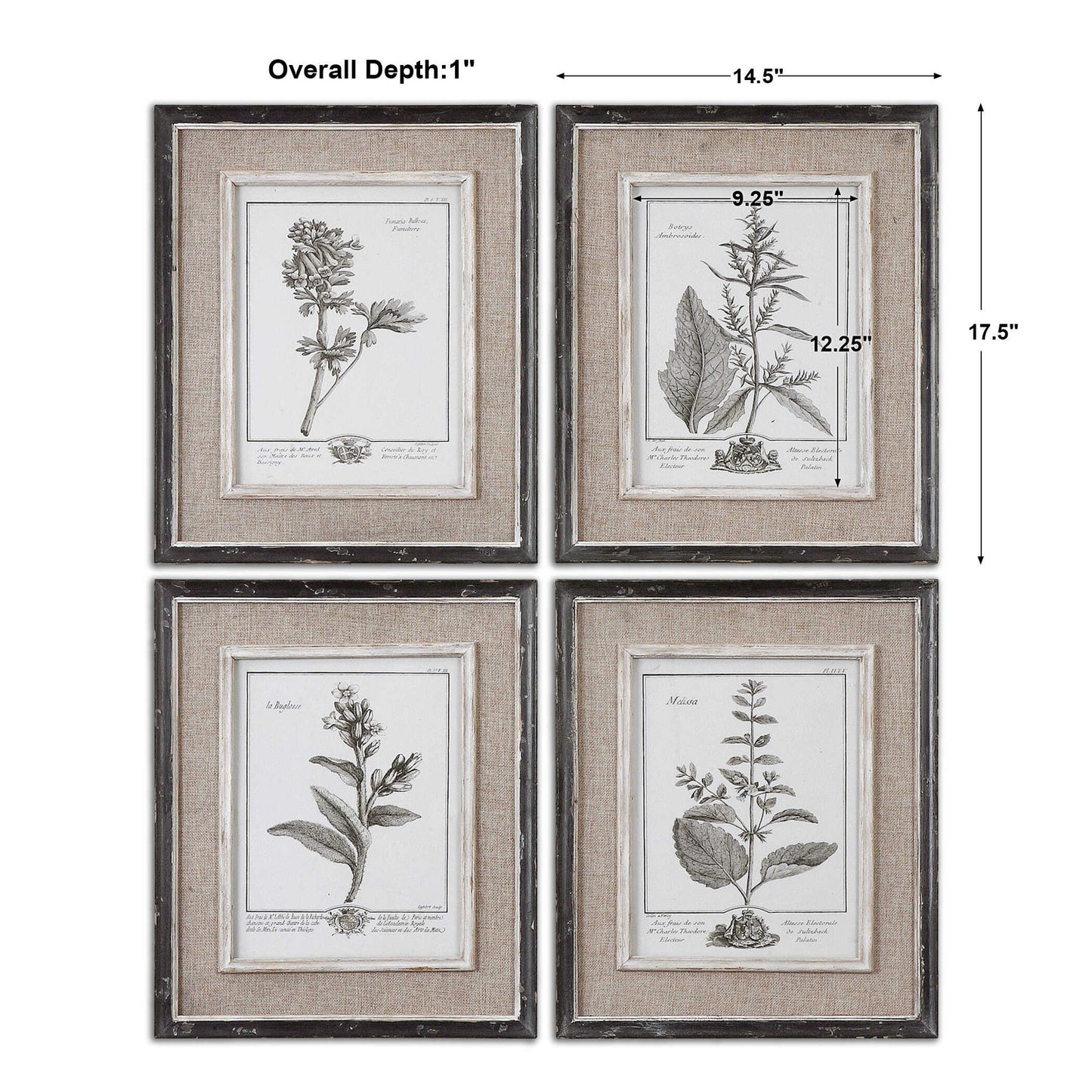 Casual Gray Study - Framed Art (Set of 4) - Beige