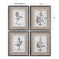 Casual Gray Study - Framed Art (Set of 4) - Beige
