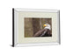 Majestic Eagle By Garytog Double Matted - Mirror Framed Wall Art - Red