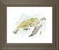 22x26 Watercolor Sea Turtle Study I By June Erica Vess - Beige