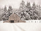 North Country By Lori Deiter - Beige