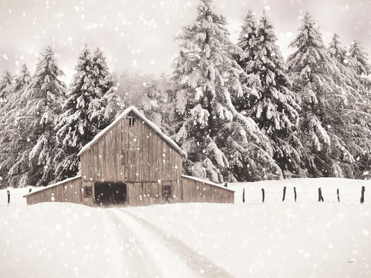 North Country By Lori Deiter (Framed Small) - Beige